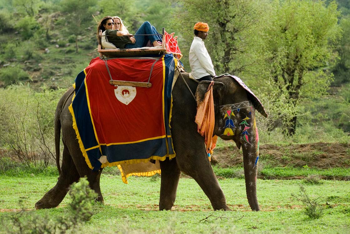 Elephant Camp Dera Amer