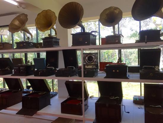 Sunny's Gramophone Museum