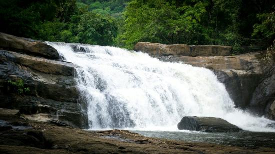Thommankuthu water falls
