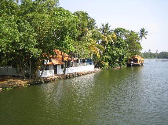 Backwaters of Kochi
